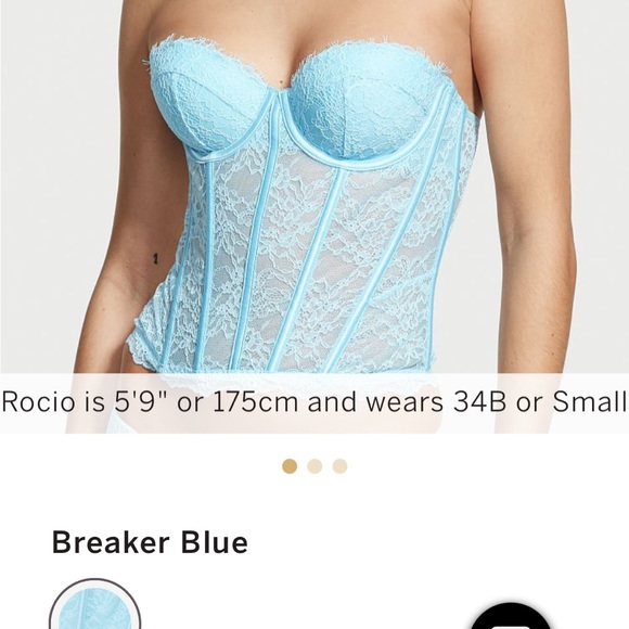 NWT Victoria’s Secret Floral Lace Corset Top Bra